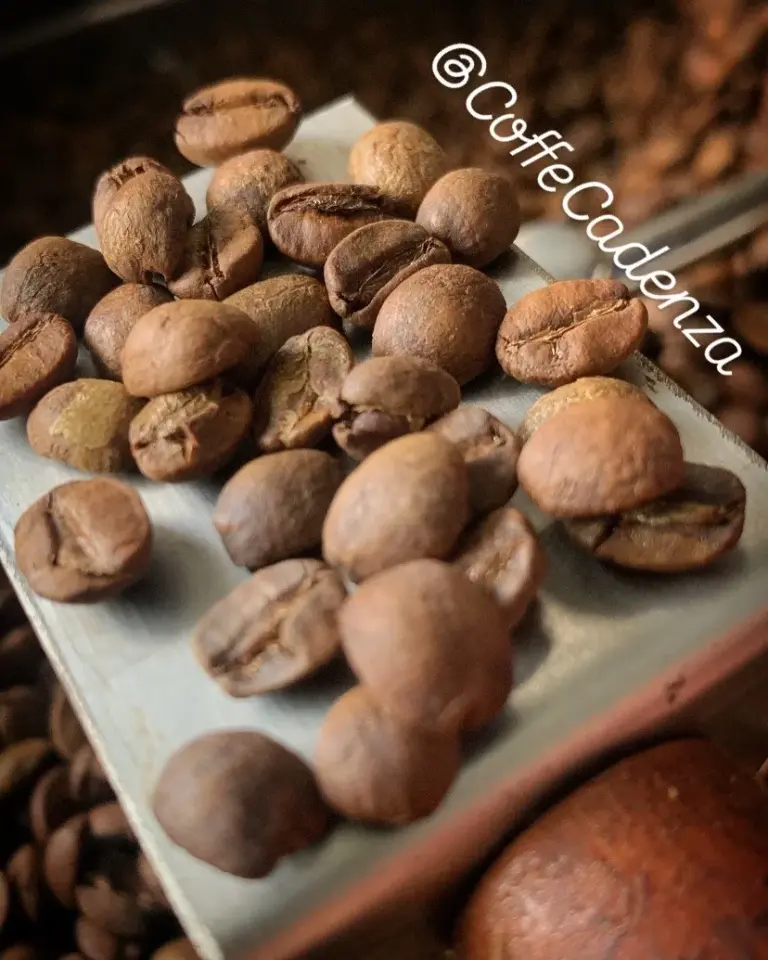 Coffè Cadenza