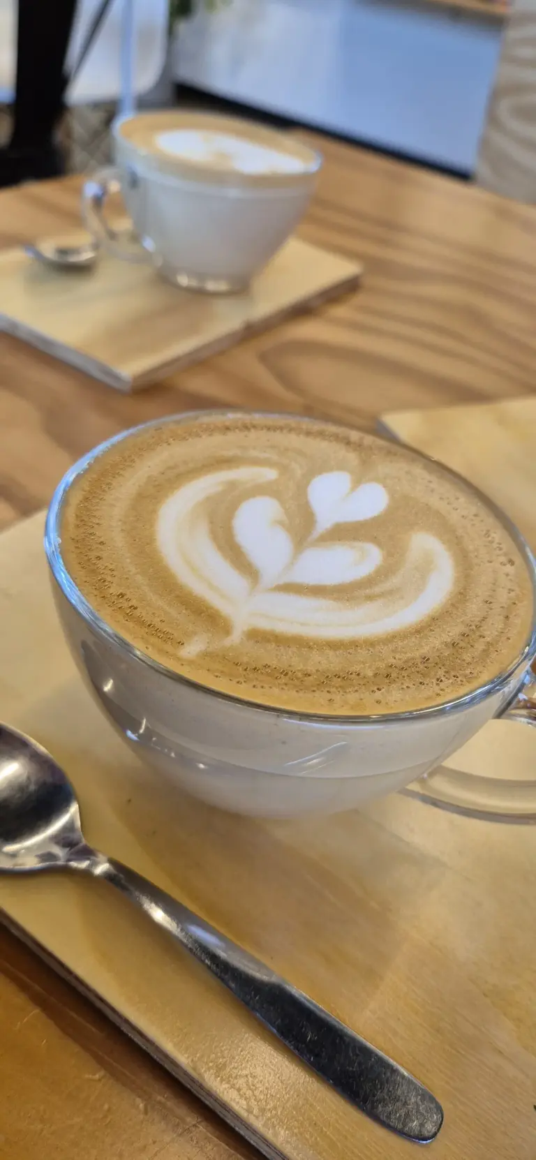 Terra Natal Café